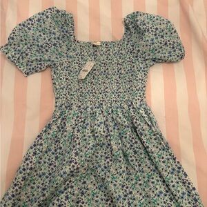 Crewcuts Blue and Green Floral Kids Dress